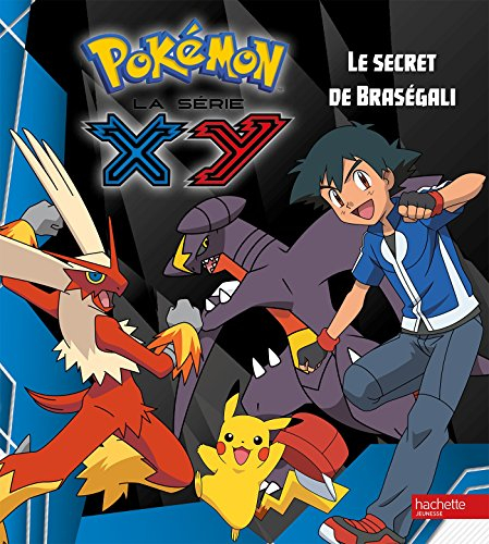 Pokémon : la série XY. Vol. 14. Le secret de Braségali
