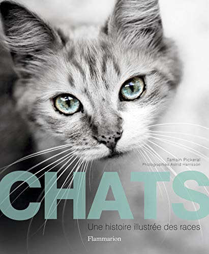 Chats : une histoire illustrée des races