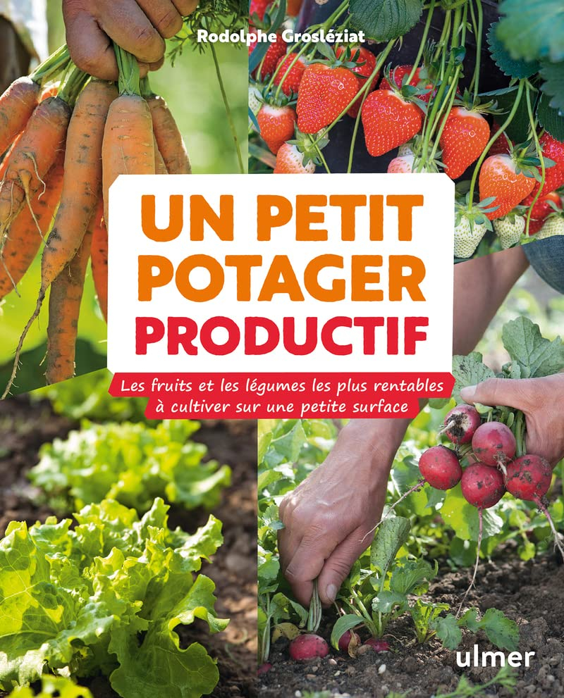 Un petit potager productif : les fruits et les légumes les plus rentables à cultiver sur une petite 