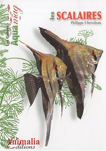 Les scalaires : le genre Pterophyllum