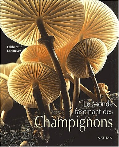 Le monde fascinant des champignons