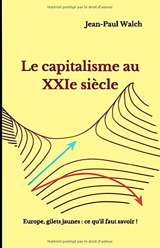 Le capitalisme au XXIe siècle: Europe, gilets jaunes : ce qu'il faut savoir !