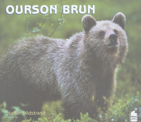 Ourson brun