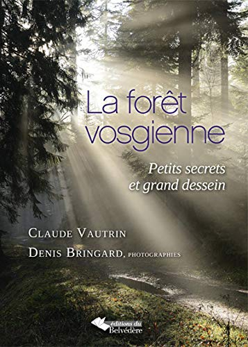 La forêt vosgienne : petits secrets et grand dessein
