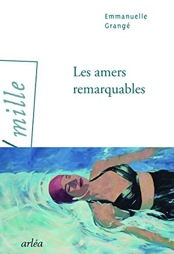 Les amers remarquables