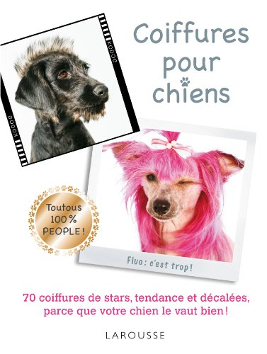 Coiffures pour chiens : 70 coiffures de stars, tendance et décalées, parce que votre chien le vaut b