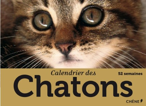 Calendrier des chatons : 52 semaines
