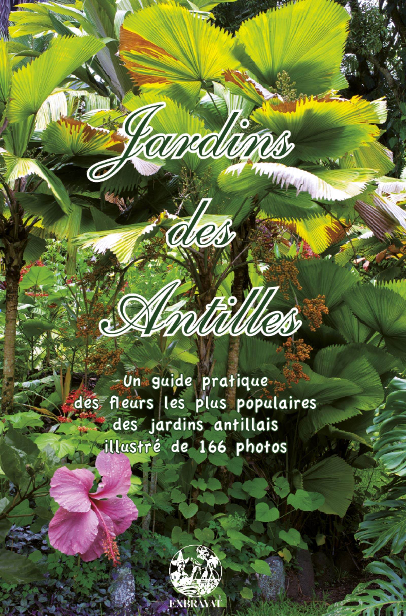 Jardins des Antilles : un guide pratique des fleurs les plus populaires des jardins antillais