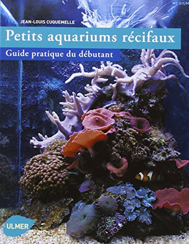 Petits aquariums récifaux : guide pratique du débutant