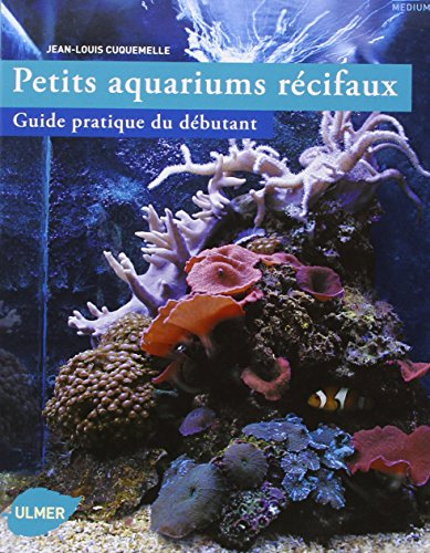 Petits aquariums récifaux : guide pratique du débutant