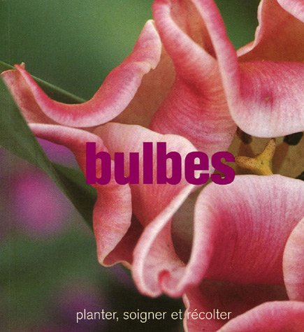 Bulbes : planter, soigner et récolter