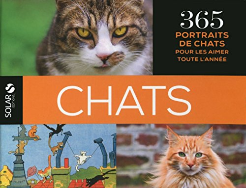 Chats : 365 portraits de chats pour les aimer toute l'année