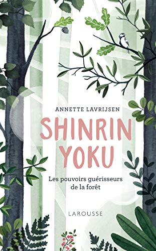 Shinrin yoku : la forêt qui guérit le corps et l'esprit