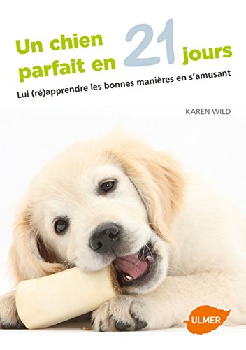 Un chien parfait en 21 jours : lui (ré)apprendre les bonnes manières en s'amusant