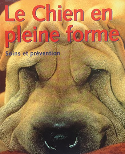 dog car companion : chez le vétérinaire