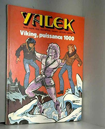 Viking puissance 1000