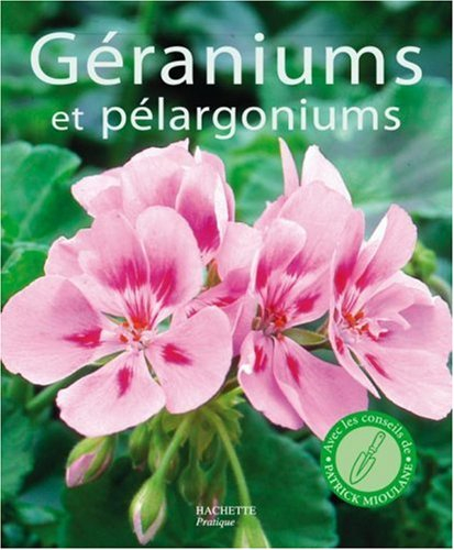 Géraniums et pélargoniums