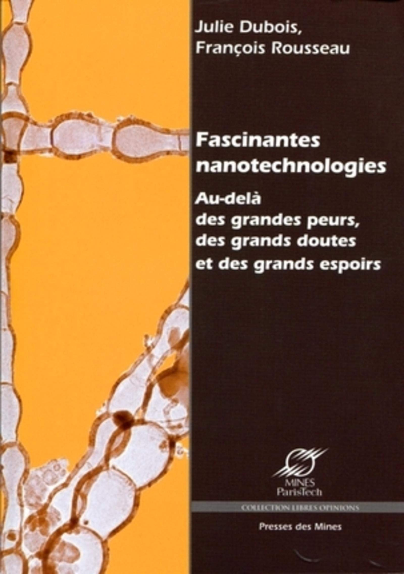 Fascinantes nanotechnologies : au-delà des grandes peurs, des grands doutes et des grands espoirs