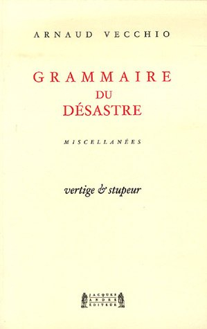 Grammaire du désastre : miscellanées. Vol. 1. Vertige et stupeur : 2000-2002