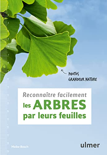 Reconnaître facilement les arbres par leurs feuilles : photos grandeur nature