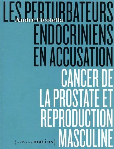 Cancer de la prostate et reproduction masculine : les perturbateurs endocriniens en accusation