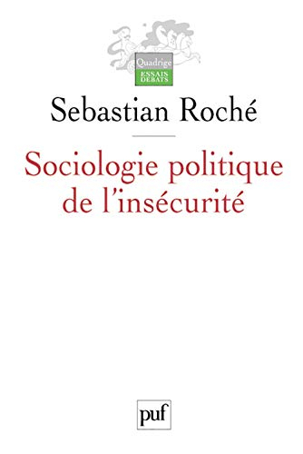 Sociologie politique de l'insécurité : violences urbaines, inégalités et globalisation