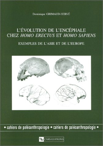 Evolution de l'encéphale chez homo erectus et homo sapiens