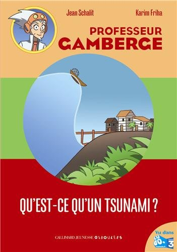 Professeur Gamberge. Vol. 4. Qu'est-ce qu'un tsunami ?
